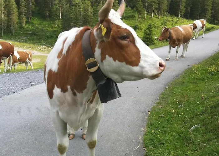 Centre Lodge Crans-Montana